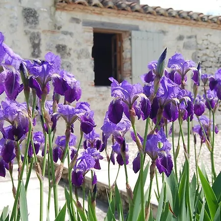 Holiday home Le Perchoir, Private Pool And Peaceful French
