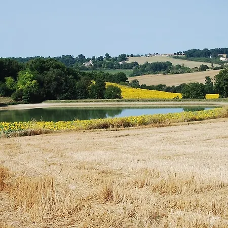 Le Perchoir, Private Pool And Peaceful French * Saint-Eutrope-de-Born